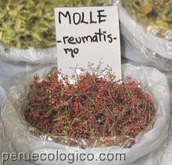 Nombres De Las Plantas Medicinales Del Peru